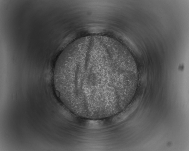 X0000102500277200809051353