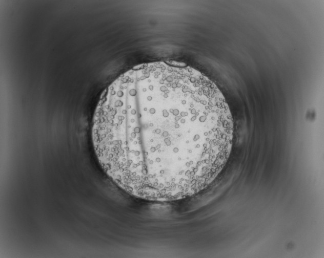 X0000102500279200809051353