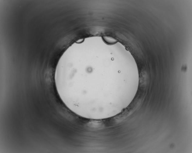 X0000102500280200809051353