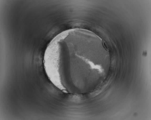 X0000102500282200809051353