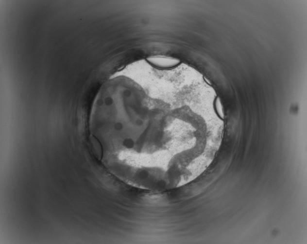 X0000102500283200809051353