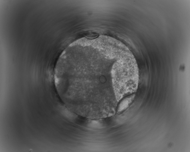 X0000102500285200809051353