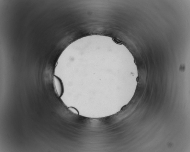 X0000102500287200809051353