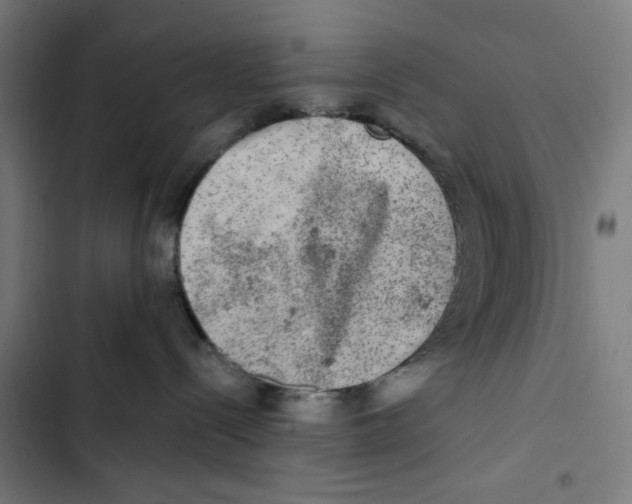 X0000102500288200809051353