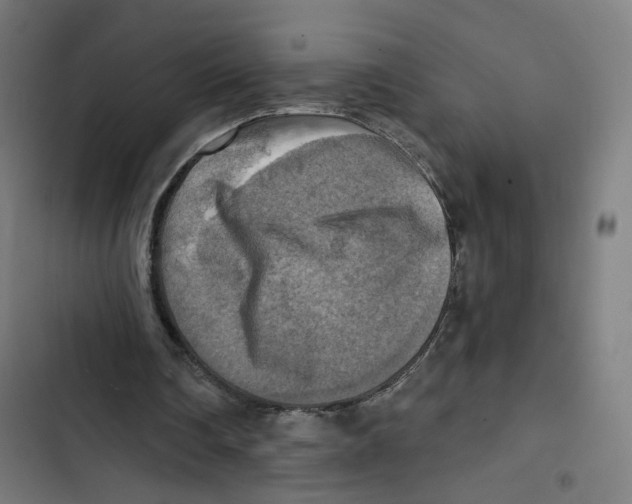 X0000102500290200809051352