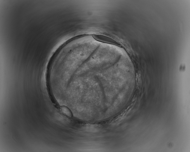 X0000102500292200809051352