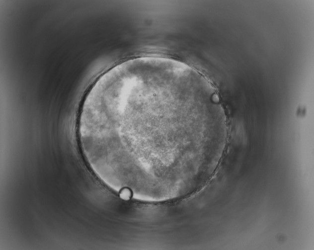 X0000102500293200809051352