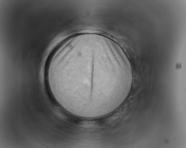 X0000102500296200809051352