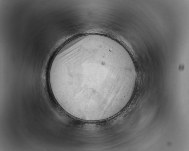 X0000102500298200809051352