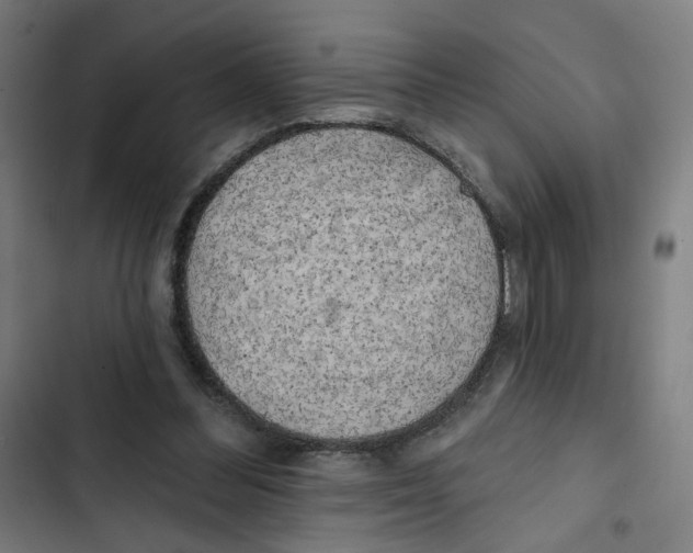 X0000102500300200809051352