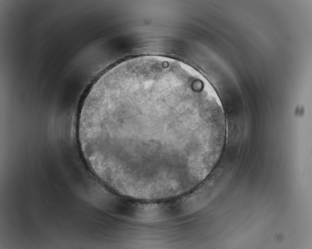 X0000102500301200809051352