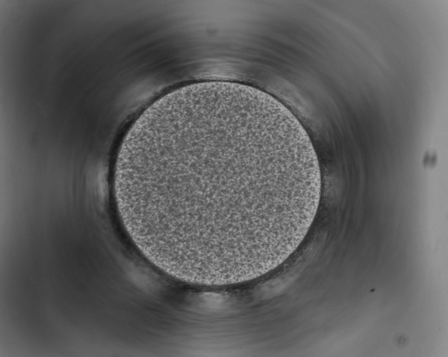 X0000102500302200809051352