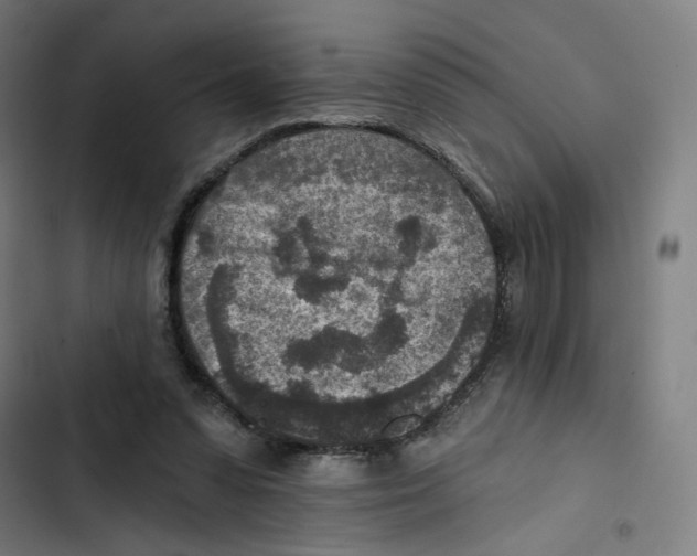 X0000102500303200809051352