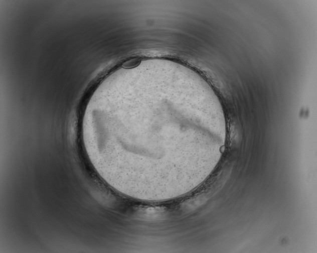 X0000102500304200809051352