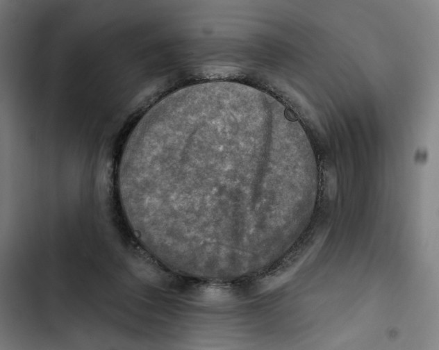 X0000102500308200809051352