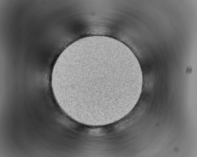 X0000102500309200809051352