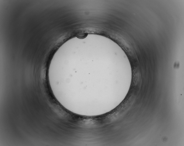 X0000102500310200809051352