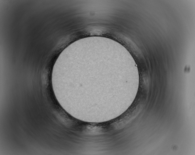 X0000102500311200809051352