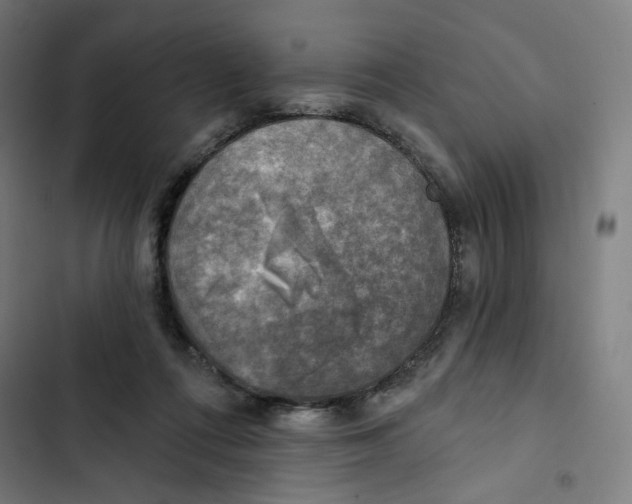 X0000102500312200809051352