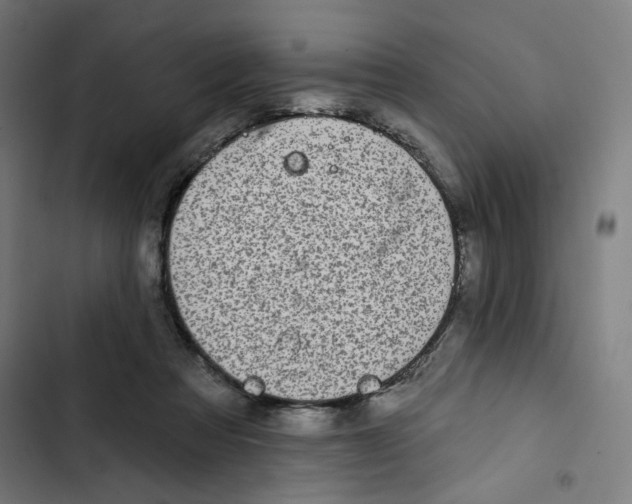 X0000102500313200809051352