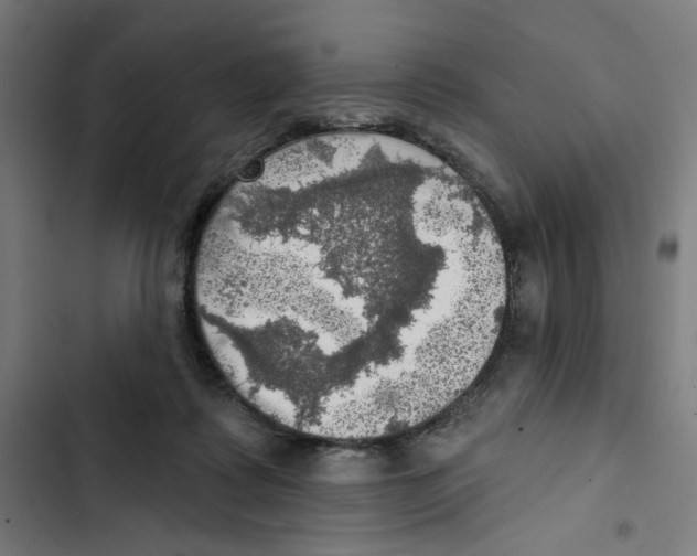 X0000102500315200809051352