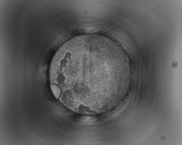 X0000102500319200809051352