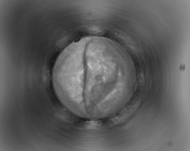 X0000102500320200809051352