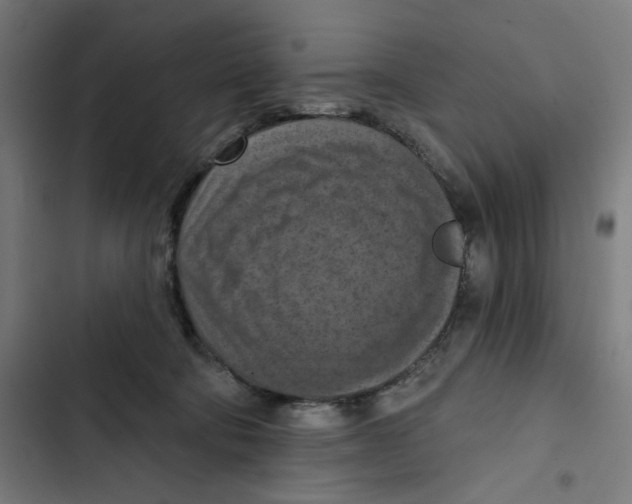 X0000102500322200809051352