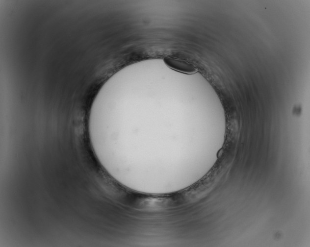 X0000102500323200809051352