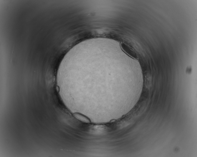 X0000102500324200809051352