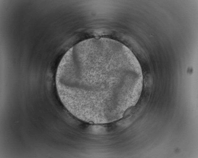 X0000102500327200809051352