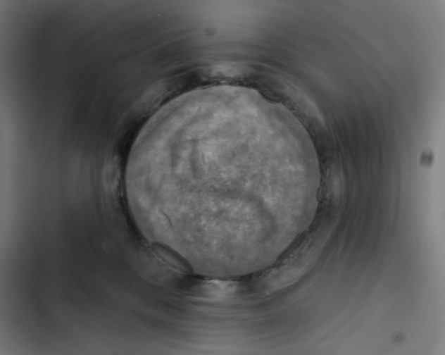 X0000102500328200809051352