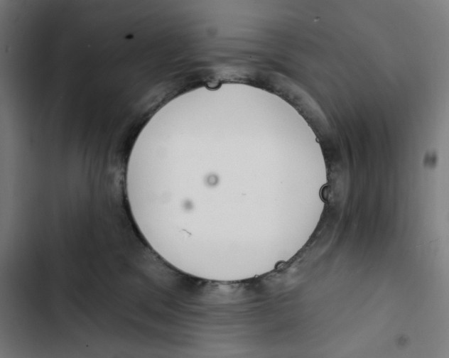 X0000102500329200809051352