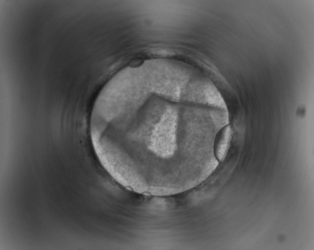 X0000102500330200809051352