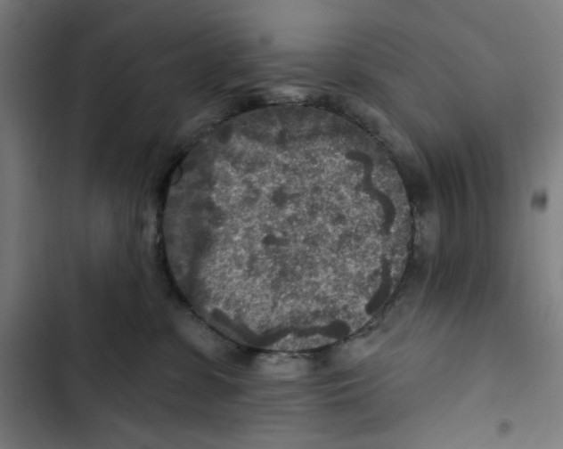 X0000102500331200809051351