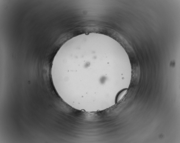 X0000102500333200809051351