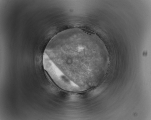 X0000102500336200809051351