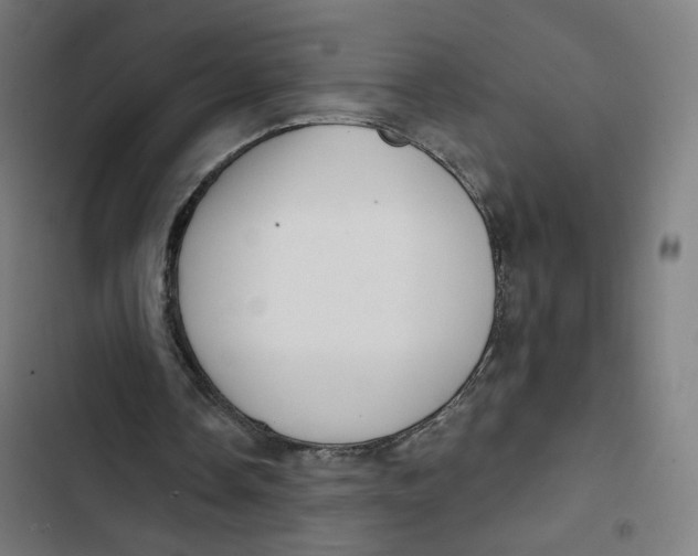 X0000102500338200809051351