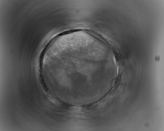 X0000102500339200809051351