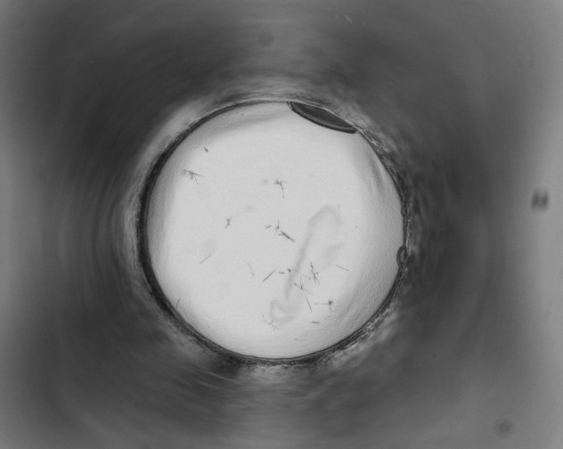 X0000102500341200809051351