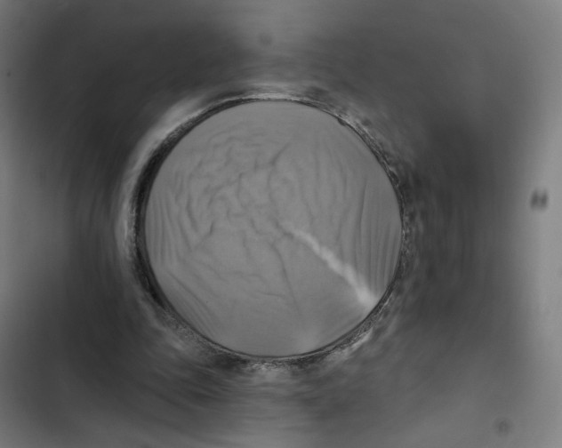 X0000102500343200809051351