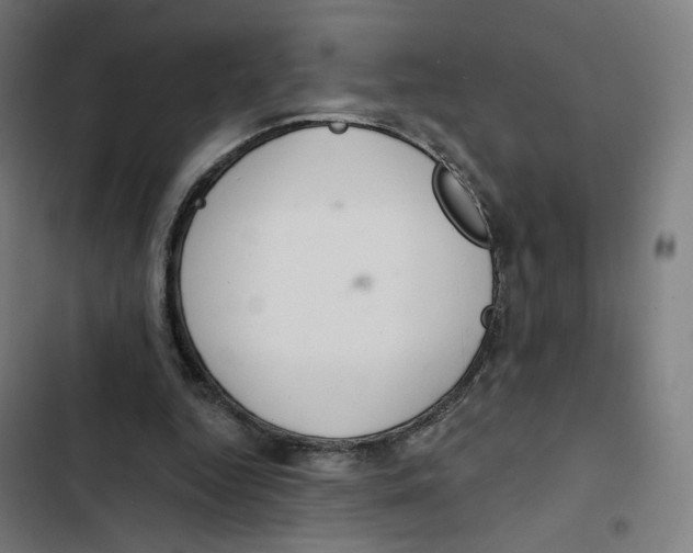 X0000102500344200809051351