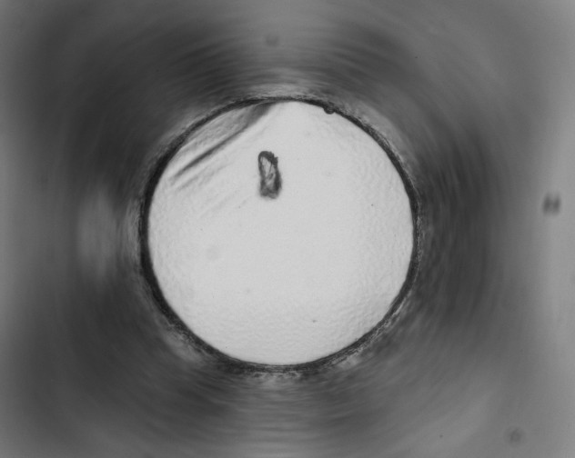 X0000102500345200809051351