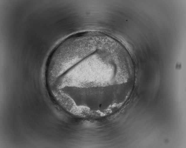 X0000102500346200809051351