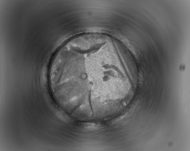 X0000102500347200809051351