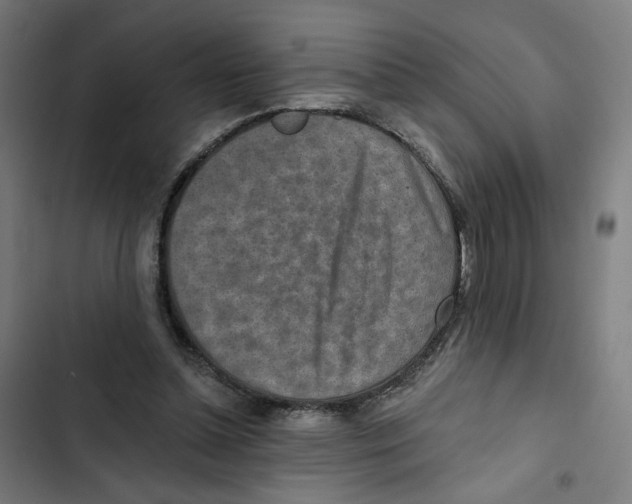 X0000102500348200809051351