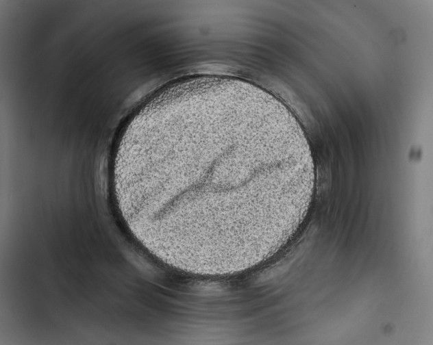 X0000102500349200809051351