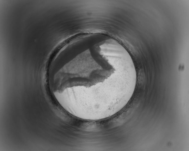 X0000102500351200809051351