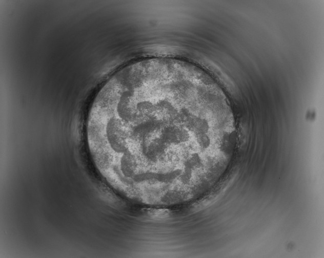 X0000102500355200809051351