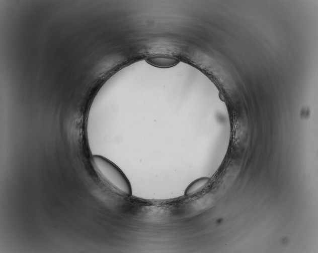 X0000102500356200809051351